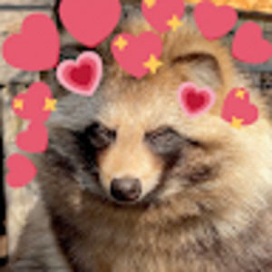 Meet your Posher, Devin